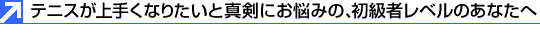 �e�j�X����肭�Ȃ肽���Ɛ^���ɂ��Y�݂́A�����҃��x���̂��Ȃ���
