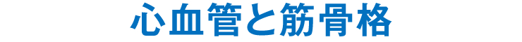 心血管と筋骨格